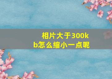 相片大于300kb怎么缩小一点呢