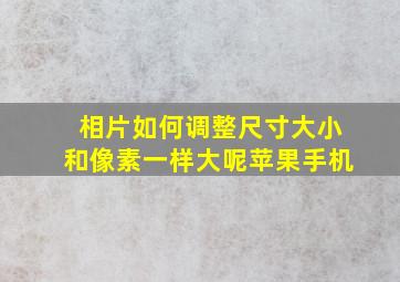 相片如何调整尺寸大小和像素一样大呢苹果手机