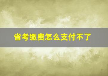 省考缴费怎么支付不了