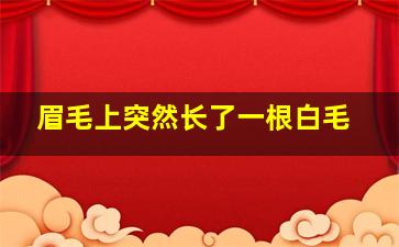 眉毛上突然长了一根白毛