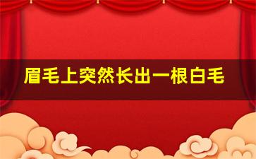 眉毛上突然长出一根白毛