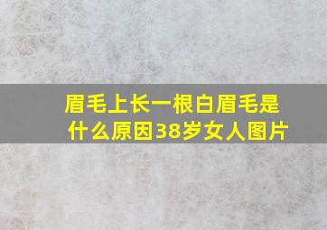 眉毛上长一根白眉毛是什么原因38岁女人图片