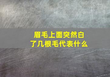 眉毛上面突然白了几根毛代表什么