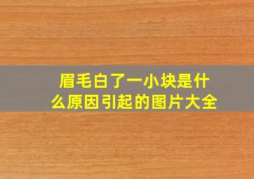 眉毛白了一小块是什么原因引起的图片大全