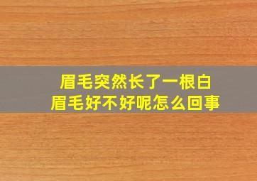 眉毛突然长了一根白眉毛好不好呢怎么回事