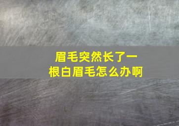 眉毛突然长了一根白眉毛怎么办啊