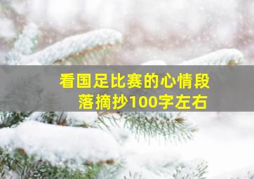 看国足比赛的心情段落摘抄100字左右