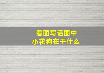 看图写话图中小花狗在干什么