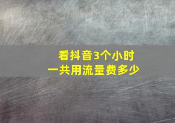 看抖音3个小时一共用流量费多少