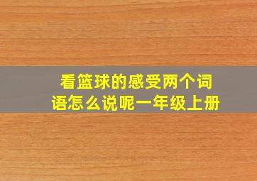 看篮球的感受两个词语怎么说呢一年级上册