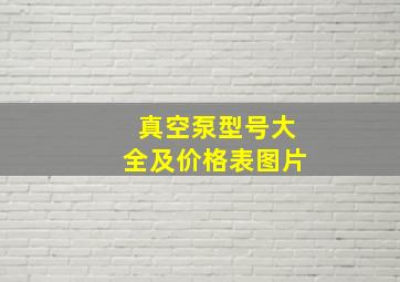 真空泵型号大全及价格表图片