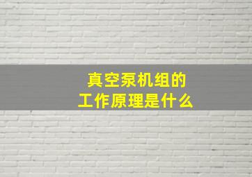 真空泵机组的工作原理是什么