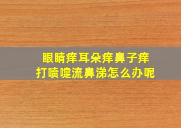 眼睛痒耳朵痒鼻子痒打喷嚏流鼻涕怎么办呢