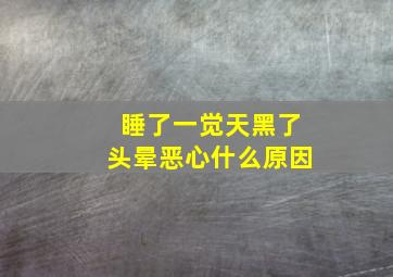 睡了一觉天黑了头晕恶心什么原因