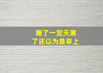 睡了一觉天黑了还以为是早上