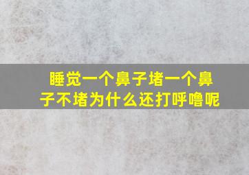 睡觉一个鼻子堵一个鼻子不堵为什么还打呼噜呢