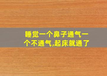 睡觉一个鼻子通气一个不通气,起床就通了