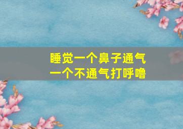 睡觉一个鼻子通气一个不通气打呼噜