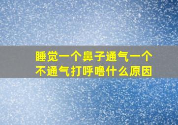 睡觉一个鼻子通气一个不通气打呼噜什么原因