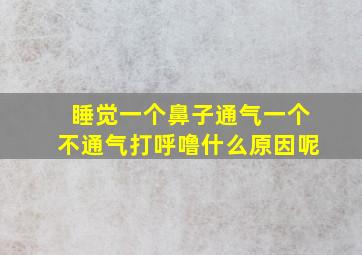 睡觉一个鼻子通气一个不通气打呼噜什么原因呢