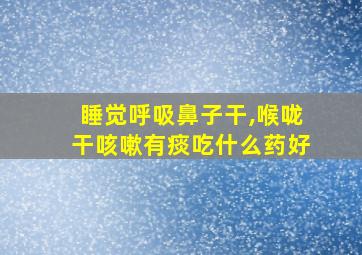 睡觉呼吸鼻子干,喉咙干咳嗽有痰吃什么药好