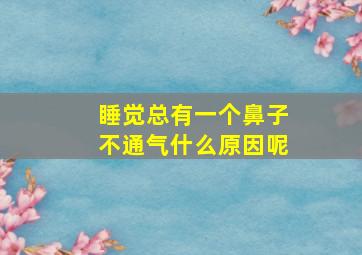 睡觉总有一个鼻子不通气什么原因呢