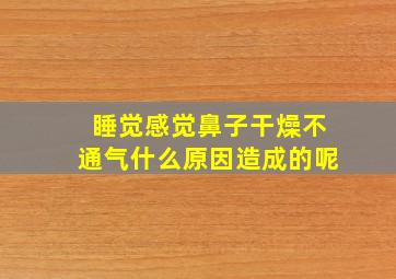 睡觉感觉鼻子干燥不通气什么原因造成的呢