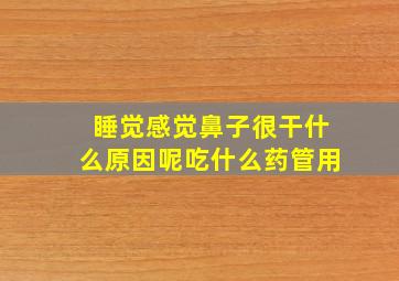 睡觉感觉鼻子很干什么原因呢吃什么药管用