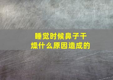 睡觉时候鼻子干燥什么原因造成的