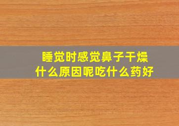 睡觉时感觉鼻子干燥什么原因呢吃什么药好