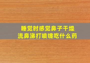 睡觉时感觉鼻子干燥流鼻涕打喷嚏吃什么药