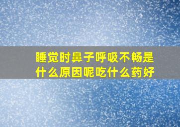 睡觉时鼻子呼吸不畅是什么原因呢吃什么药好