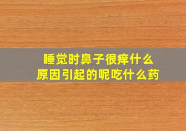 睡觉时鼻子很痒什么原因引起的呢吃什么药