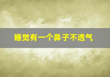 睡觉有一个鼻子不透气