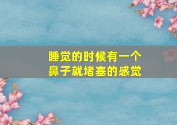 睡觉的时候有一个鼻子就堵塞的感觉