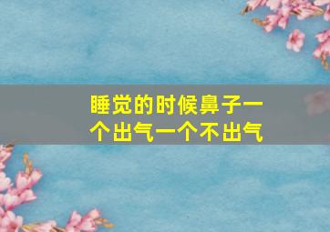 睡觉的时候鼻子一个出气一个不出气