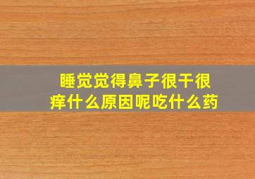 睡觉觉得鼻子很干很痒什么原因呢吃什么药