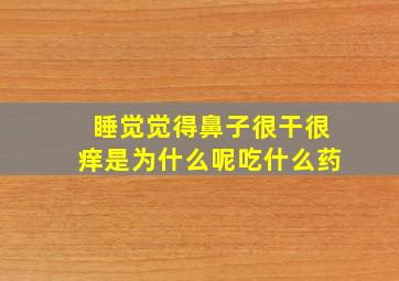 睡觉觉得鼻子很干很痒是为什么呢吃什么药