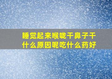 睡觉起来喉咙干鼻子干什么原因呢吃什么药好