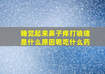 睡觉起来鼻子痒打喷嚏是什么原因呢吃什么药