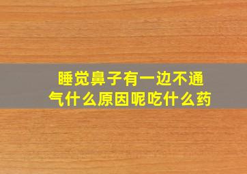 睡觉鼻子有一边不通气什么原因呢吃什么药