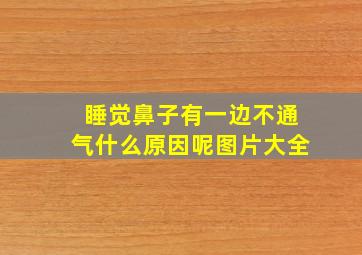 睡觉鼻子有一边不通气什么原因呢图片大全