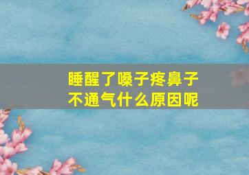 睡醒了嗓子疼鼻子不通气什么原因呢