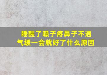 睡醒了嗓子疼鼻子不通气缓一会就好了什么原因