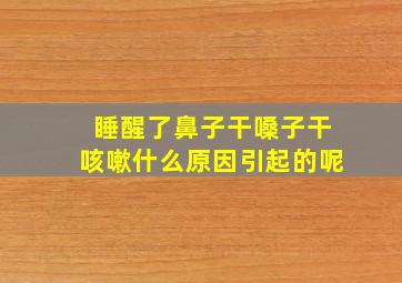 睡醒了鼻子干嗓子干咳嗽什么原因引起的呢