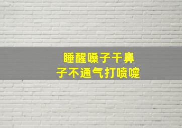 睡醒嗓子干鼻子不通气打喷嚏