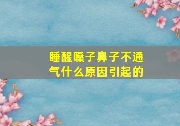 睡醒嗓子鼻子不通气什么原因引起的