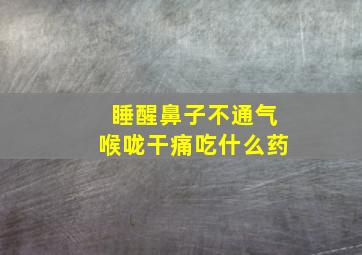 睡醒鼻子不通气喉咙干痛吃什么药