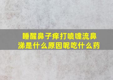 睡醒鼻子痒打喷嚏流鼻涕是什么原因呢吃什么药