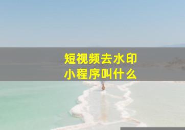 短视频去水印小程序叫什么